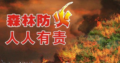 森林防火知識(shí)